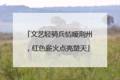 文艺轻骑兵情暖荆州，红色薪火点亮楚天