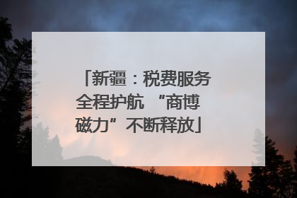 新疆：税费服务全程护航 “商博磁力”不断释放