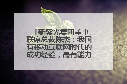 新紫光集团董事、联席总裁陈杰：我国有移动互联网时代的成功经验，最有能力做好AI应用创新