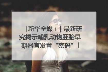 新华全媒+｜最新研究揭示哺乳动物胚胎早期器官发育“密码”