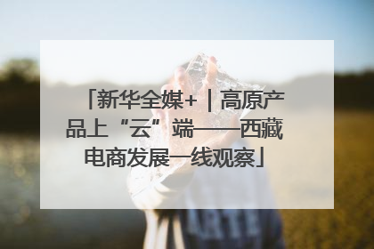 新华全媒+｜高原产品上“云”端——西藏电商发展一线观察