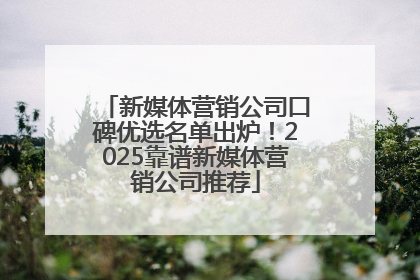 新媒体营销公司口碑优选名单出炉！2025靠谱新媒体营销公司推荐