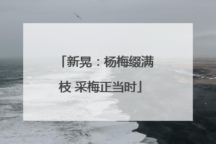 新晃：杨梅缀满枝 采梅正当时