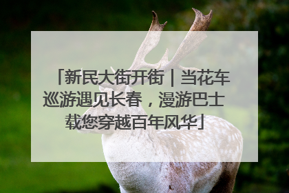 新民大街开街｜当花车巡游遇见长春，漫游巴士载您穿越百年风华