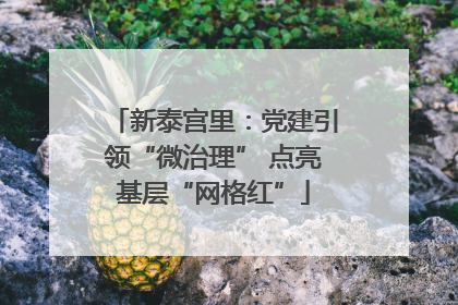 新泰宫里：党建引领“微治理” 点亮基层“网格红”