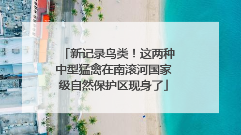 新记录鸟类！这两种中型猛禽在南滚河国家级自然保护区现身了