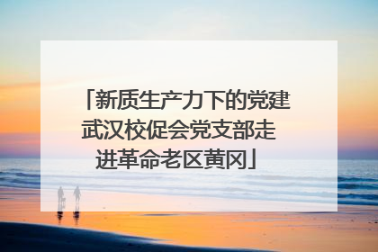 新质生产力下的党建 武汉校促会党支部走进革命老区黄冈