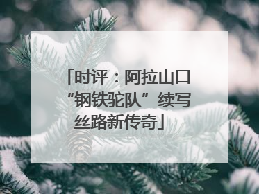 时评：阿拉山口“钢铁驼队”续写丝路新传奇