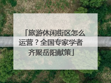 旅游休闲街区怎么运营？全国专家学者齐聚岳阳献策