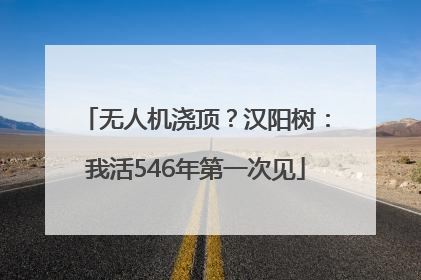 无人机浇顶？汉阳树：我活546年第一次见