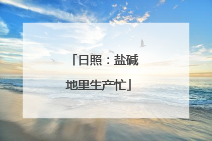 日照：盐碱地里生产忙