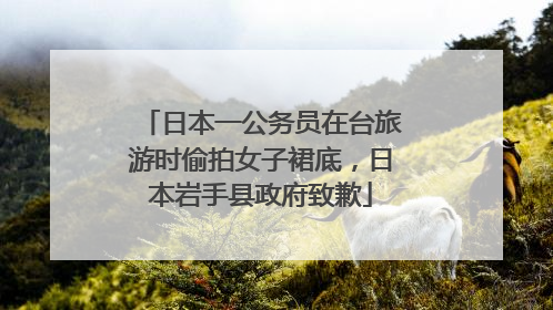 日本一公务员在台旅游时偷拍女子裙底，日本岩手县政府致歉