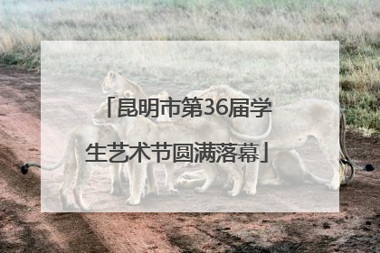 昆明市第36届学生艺术节圆满落幕