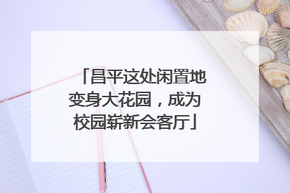 昌平这处闲置地变身大花园，成为校园崭新会客厅