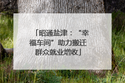 昭通盐津：“幸福车间”助力搬迁群众就业增收