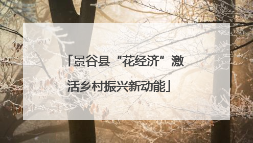 景谷县“花经济”激活乡村振兴新动能