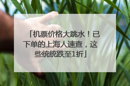 机票价格大跳水！已下单的上海人速查，这些统统跌至1折