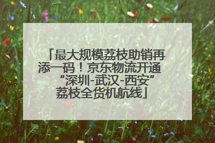 最大规模荔枝助销再添一码！京东物流开通“深圳-武汉-西安” 荔枝全货机航线