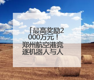 最高奖励2000万元！郑州航空港竞逐机器人与人工智能赛道