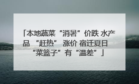 本地蔬菜“消暑”价跌 水产品 “赶热” 涨价 宿迁夏日 “菜篮子”有“温差”