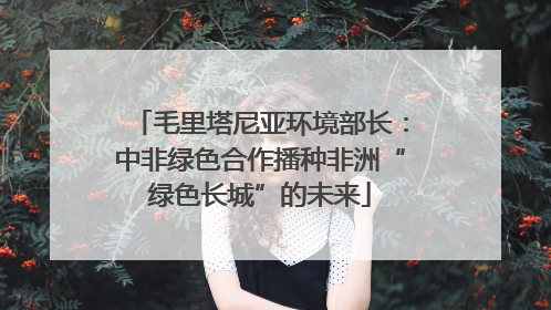 毛里塔尼亚环境部长：中非绿色合作播种非洲“绿色长城”的未来