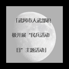武冈市人武部积极开展“民兵活动日”主题活动