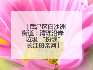 武昌区白沙洲街道：清理沿岸垃圾 “扮靓”长江母亲河