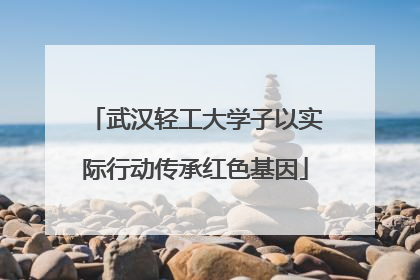 武汉轻工大学子以实际行动传承红色基因