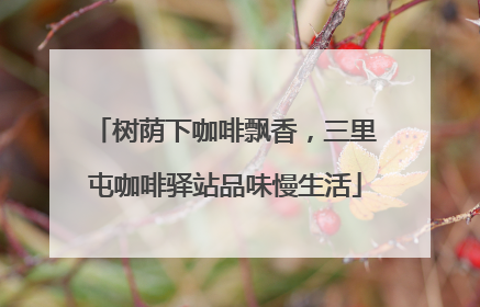 树荫下咖啡飘香，三里屯咖啡驿站品味慢生活