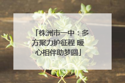 株洲市一中：多方聚力护征程 暖心相伴助梦圆
