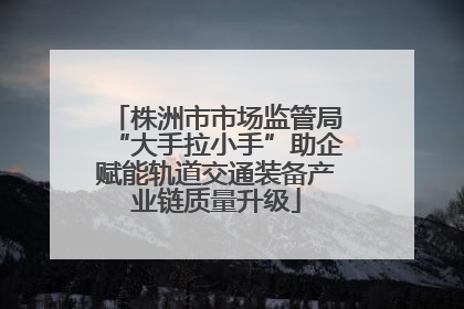 株洲市市场监管局“大手拉小手”助企赋能轨道交通装备产业链质量升级