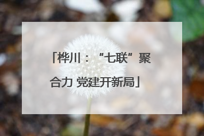 桦川：“七联”聚合力 党建开新局