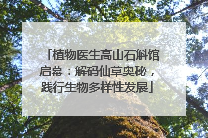 植物医生高山石斛馆启幕：解码仙草奥秘，践行生物多样性发展
