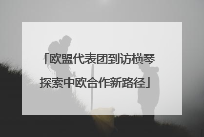 欧盟代表团到访横琴 探索中欧合作新路径