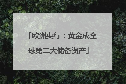 欧洲央行：黄金成全球第二大储备资产