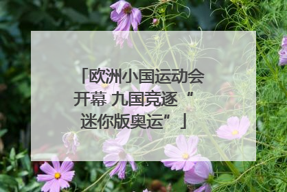 欧洲小国运动会开幕 九国竞逐“迷你版奥运”