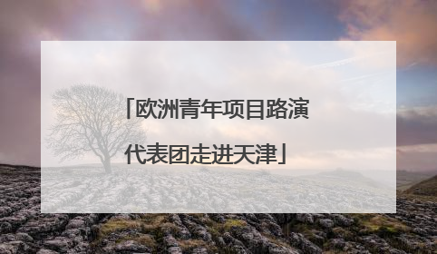 欧洲青年项目路演代表团走进天津