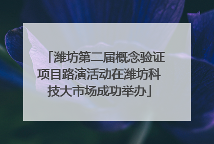 潍坊第二届概念验证项目路演活动在潍坊科技大市场成功举办