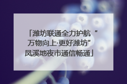潍坊联通全力护航“万物向上·更好潍坊”凤溪地夜市通信畅通