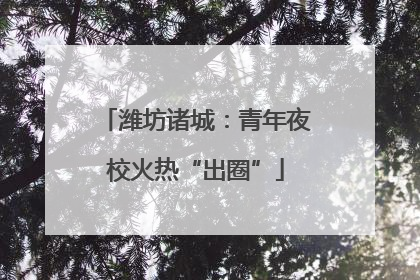 潍坊诸城：青年夜校火热“出圈”