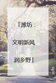 潍坊：文明新风润乡野