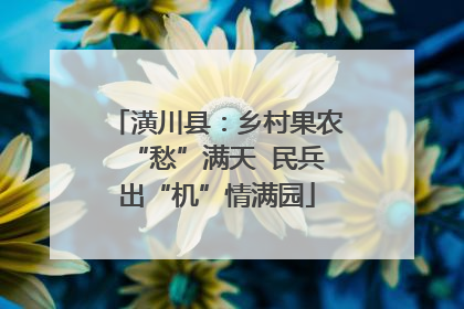 潢川县：乡村果农“愁”满天  民兵出“机”情满园