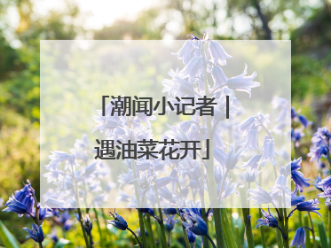 潮闻小记者｜遇油菜花开
