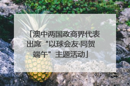 澳中两国政商界代表出席“以球会友·同贺端午”主题活动