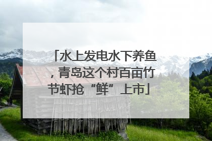 水上发电水下养鱼，青岛这个村百亩竹节虾抢“鲜”上市