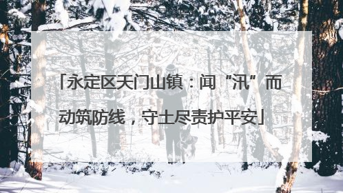 永定区天门山镇：闻“汛”而动筑防线，守土尽责护平安