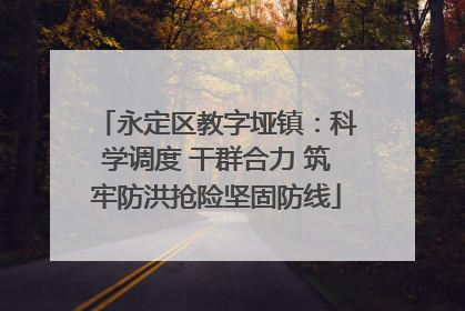 永定区教字垭镇：科学调度 干群合力 筑牢防洪抢险坚固防线