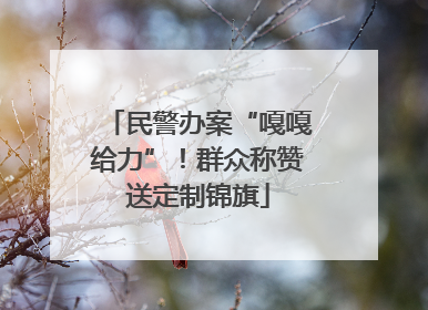 民警办案“嘎嘎给力”！群众称赞送定制锦旗