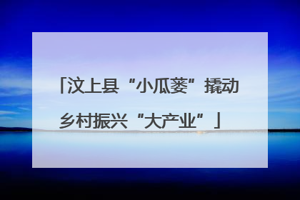 汶上县“小瓜蒌”撬动乡村振兴“大产业”