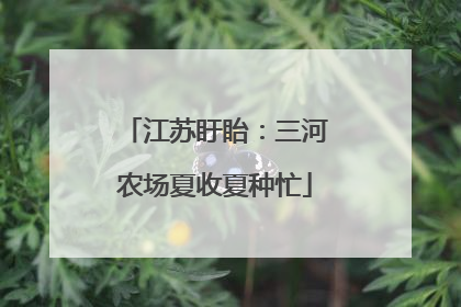 江苏盱眙：三河农场夏收夏种忙